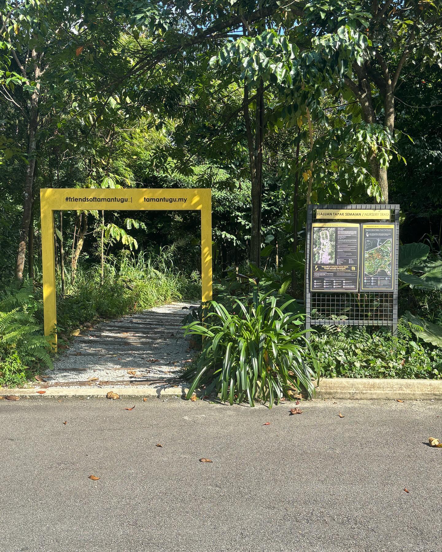 Taman Tugu Hike Trails: Embark on an outdoor adventure through Taman Tugu Hike Trails, exploring pristine natural landscapes and discovering hidden gems along the way. This nature escape offers a refreshing contrast to the urban environment, perfect for those seeking a touch of wilderness.
#hiking #treeking #tamantuguforesttrail #kualalumpur #malaysia