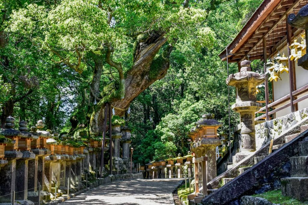 Kasuga Taisha Shrine