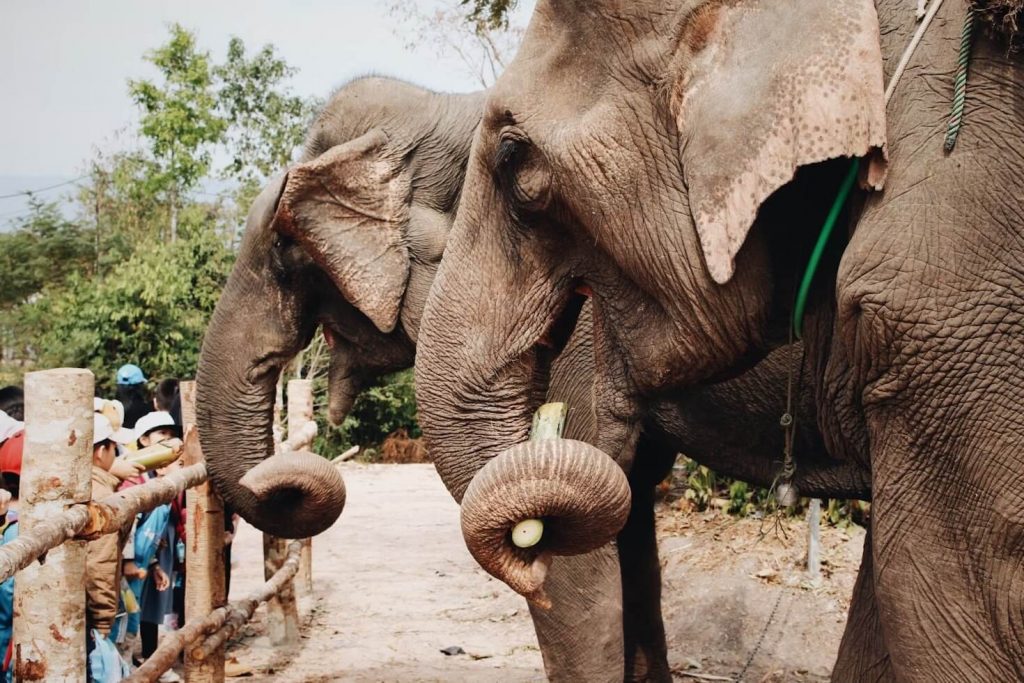 Things to do in Vientiane