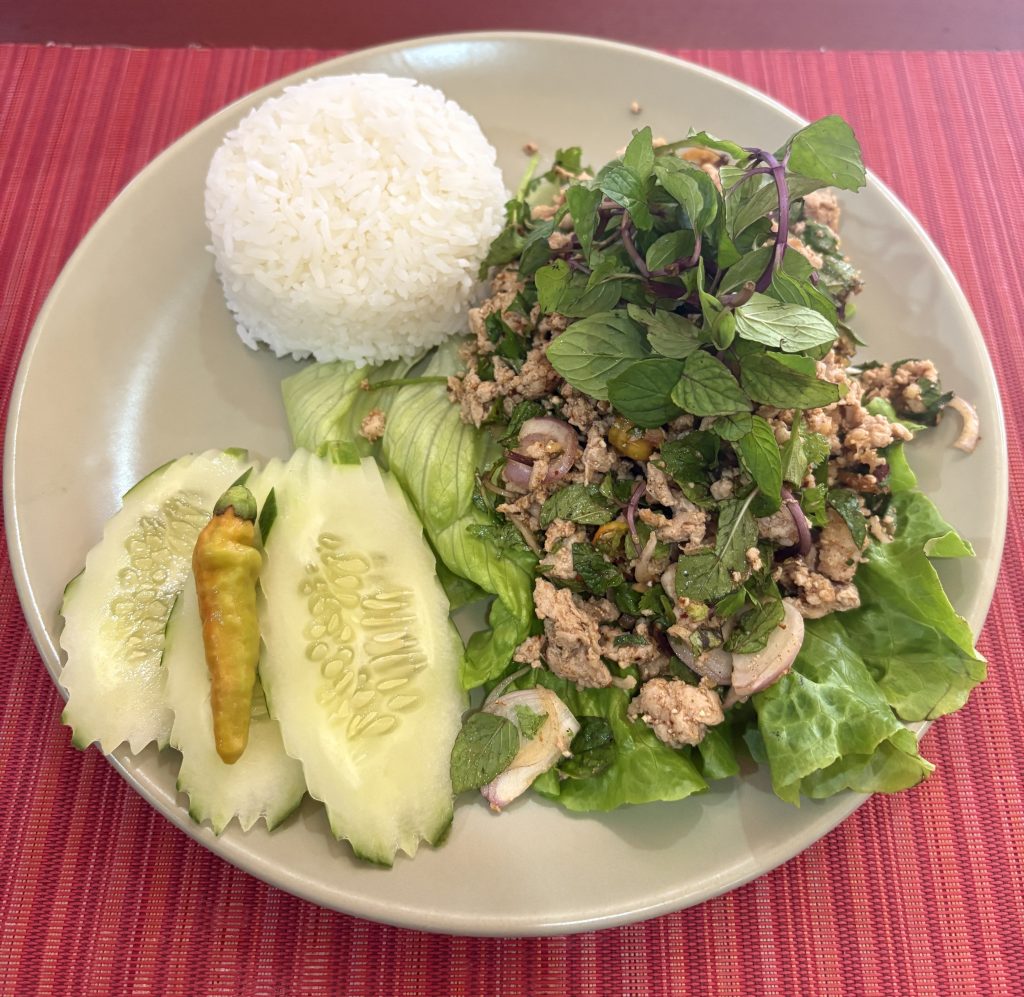 Laos Larb Moo